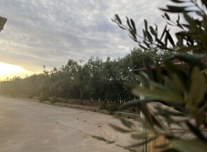 daba4181-dfc4-4e42-a163-f314564996aa