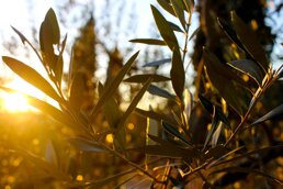 b321b992-3157-4e99-92f2-9940035d4f7d