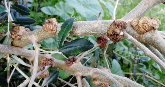 208ee9f6-cfae-49d6-997c-f21b2f12c181.jpeg 208ee9f6-cfae-49d6-997c-f21b2f12c181.jpeg