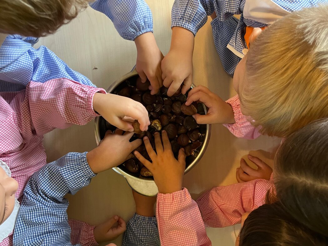 whatsapp image 2025-10-16 at 14.55.34.jpeg whatsapp image 2025-10-16 at 14.55.34.jpeg