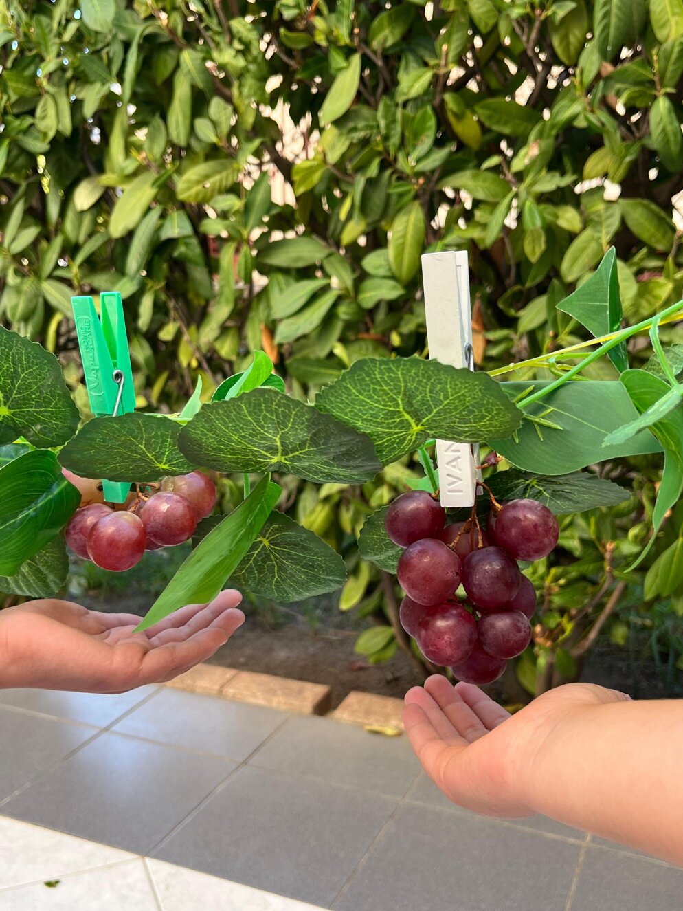 whatsapp image 2025-10-16 at 14.53.54-3.jpeg whatsapp image 2025-10-16 at 14.53.54-3.jpeg