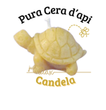 candela-tartaruga