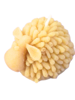 candela-in-pura-cera-dapi