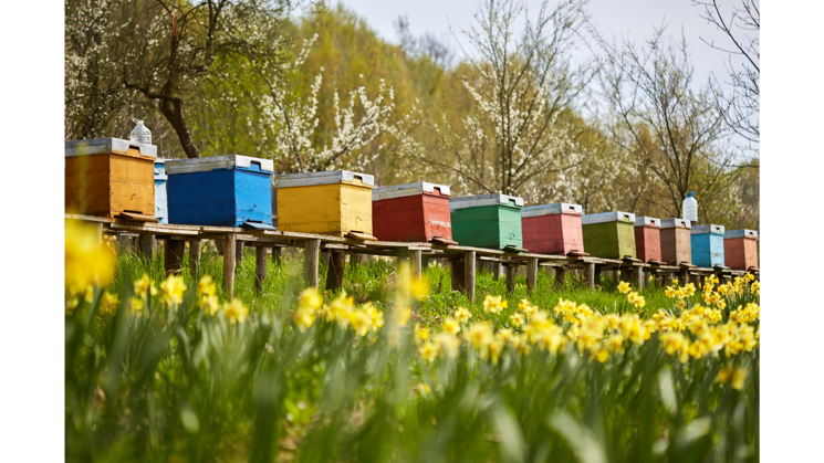 fa5ee846-ceaf-44c6-b162-53f67211d0f7