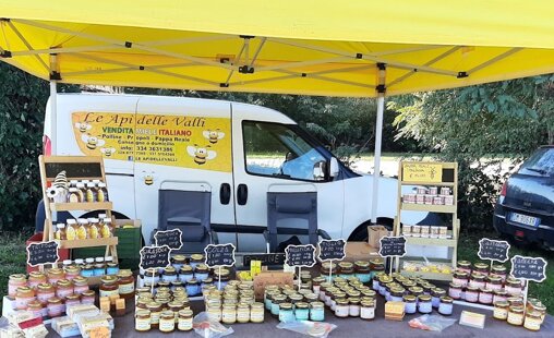 551c8737-8111-4a02-a739-573f601e3cd8