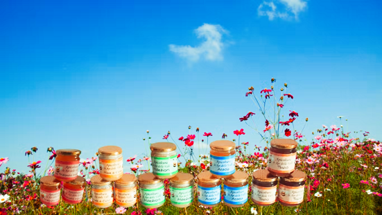 cd6f936d-66b5-48f6-8ab7-d48d477a1c6d cd6f936d-66b5-48f6-8ab7-d48d477a1c6d