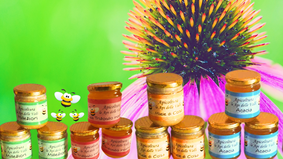 7efd5179-a924-4a9d-81d9-65d52a92ebfc 7efd5179-a924-4a9d-81d9-65d52a92ebfc