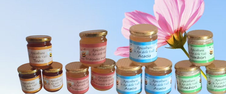 fd8de86f-0633-4b8d-b4fa-1052212b9ce4 fd8de86f-0633-4b8d-b4fa-1052212b9ce4