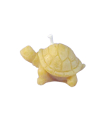 candela-tartaruga