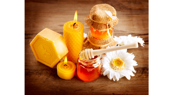 19a941f2-eec3-4958-b99b-1f519699682a