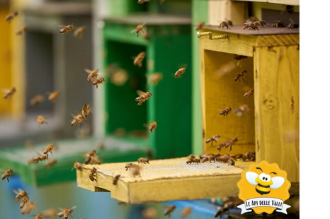 f6120fa3-0f09-4c87-9c76-ee950fefaad8 f6120fa3-0f09-4c87-9c76-ee950fefaad8