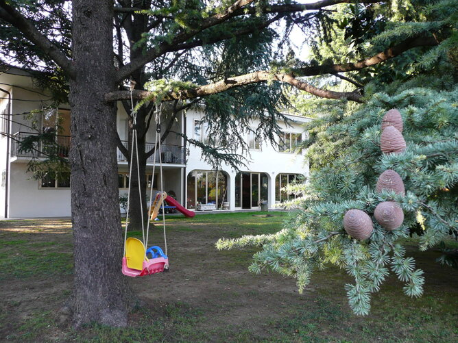 97613ba4-11fa-4777-ac6e-80ca7c11a40d 97613ba4-11fa-4777-ac6e-80ca7c11a40d