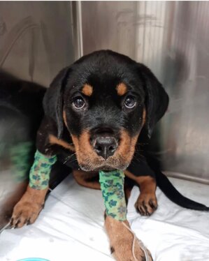 whatsapp image 2025-11-12 at 11.58.35.jpeg whatsapp image 2025-11-12 at 11.58.35.jpeg