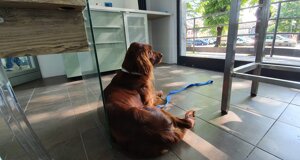 photo-2025-10-21-17-39-16%203.jpeg photo-2025-10-21-17-39-16%203.jpeg