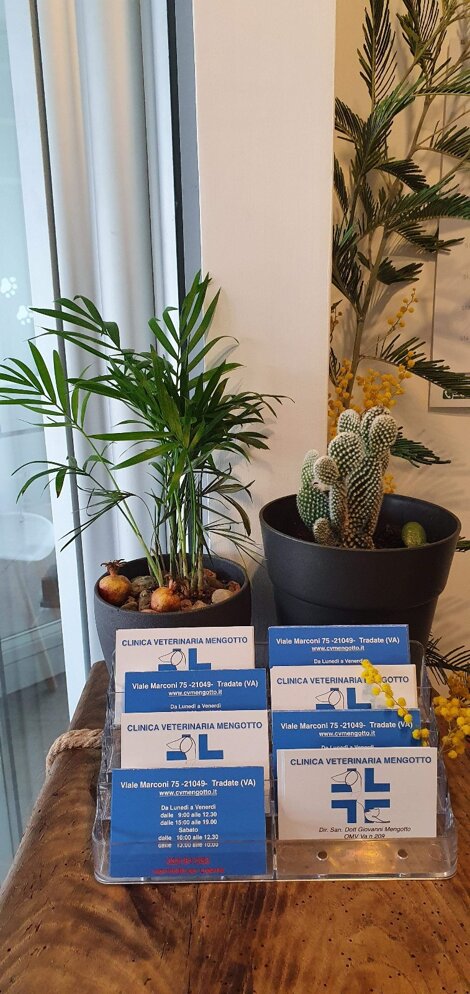 photo-2025-10-21-17-39-17 2.jpeg photo-2025-10-21-17-39-17 2.jpeg