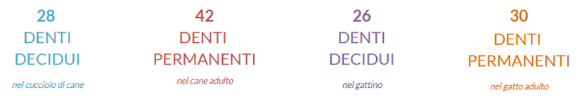 dnti mengotto dnti mengotto