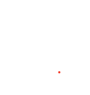 ankn logo bianco