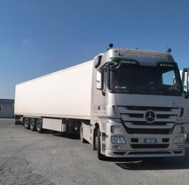 camion camion