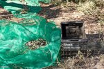 kit-per-raccolta-olive