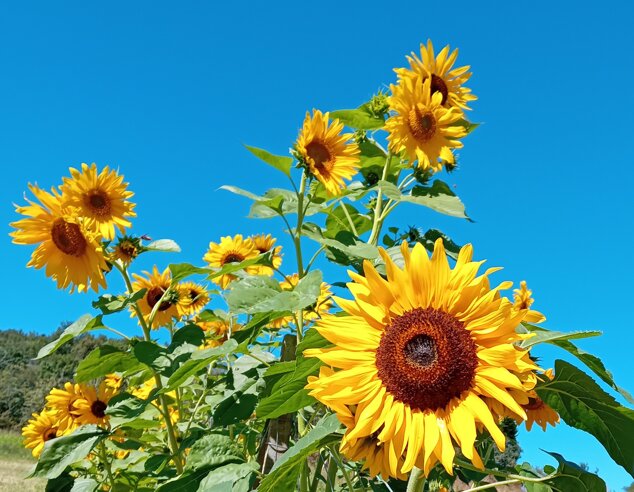 2024-09-13t13_42_59+02_00.jpeg 2024-09-13t13_42_59+02_00.jpeg