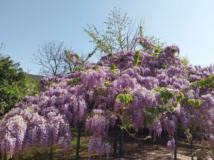 img-20250414-wa0005.jpeg img-20250414-wa0005.jpeg