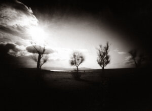 fomapan%20ultra%20100_007_stenopeica.jpeg