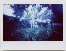 instax wide _pinhole003.jpeg