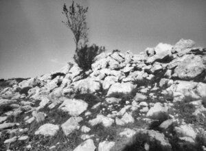 002_rollei%2080s%20008.jpeg