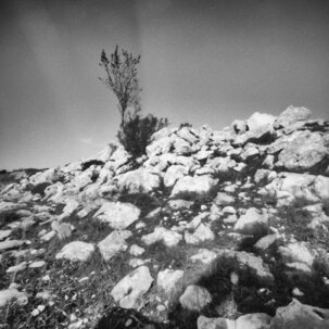 001_ilford fp4 plus_003 albero sulle rocce.jpeg