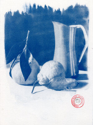 ciano_stillife_limoni015.jpeg