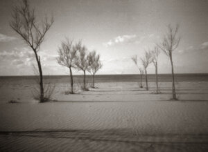 zero%202000_rollei%20rpx%2025_003%20maestrale.jpeg