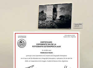 art-limited-certificate-ed31104578055-8ab2f67b6e0c2b0a82c5dbbedda8d0f7.jpeg