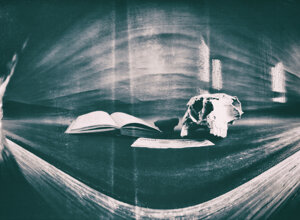 paper%20negative%20stilllife_%20_043.jpeg