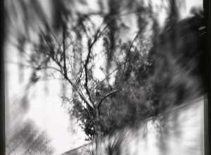 _dsc0417.jpeg