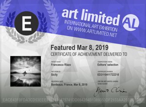 art-limited-certificate-ed3110411724239-e4e01a92a8978a13d7aa652f580a2e21.jpeg