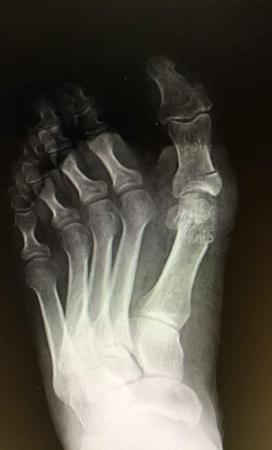 9e265843-f8d9-44d8-a320-1506717664ab