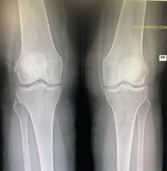 1dd87e09-31cd-4f03-bf3b-ce998191a40f