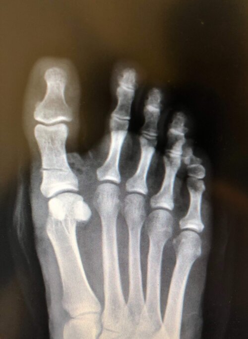 c8df562e-412a-44ad-b4c5-ca7a672272a1