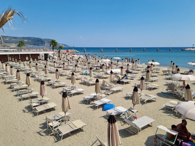 20240827_130706.jpeg 20240827_130706.jpeg