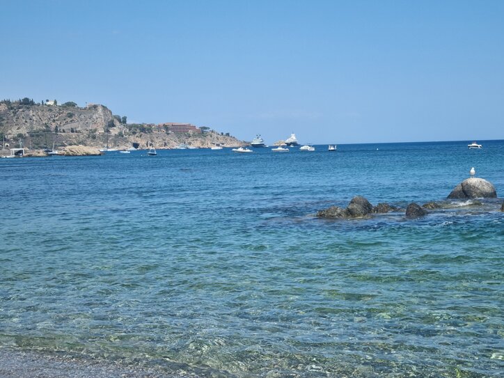 20240702_154644.jpeg 20240702_154644.jpeg