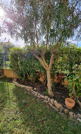 20240121_122234 20240121_122234