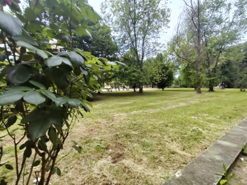 img20250512155926.jpeg