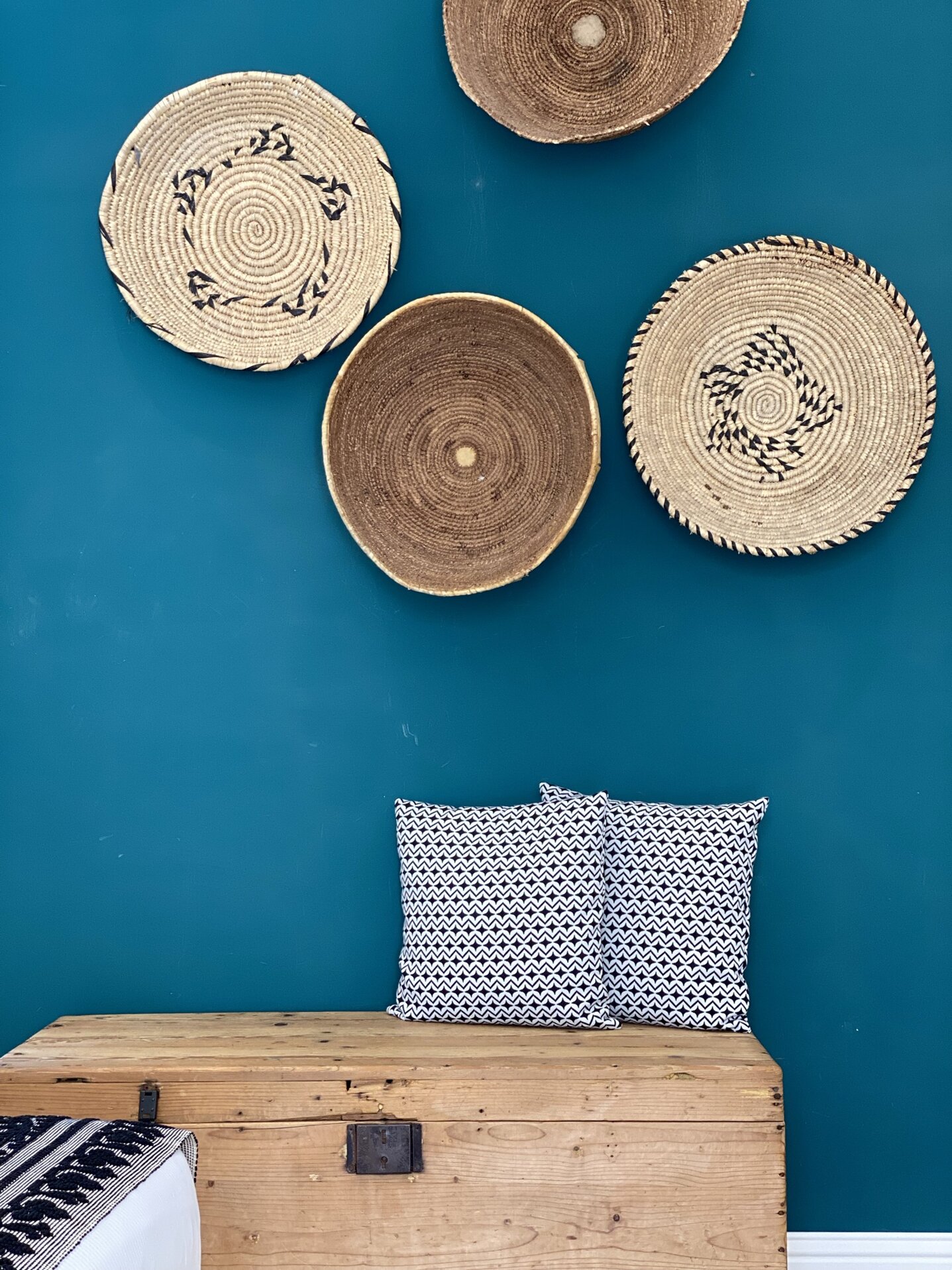 img_5906.jpeg img_5906.jpeg