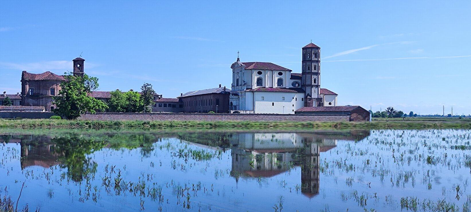 1716895982222.jpeg 1716895982222.jpeg