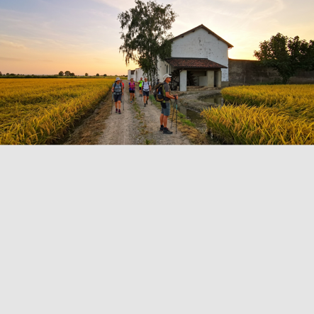 locandine nuove 2026-2 locandine nuove 2026-2