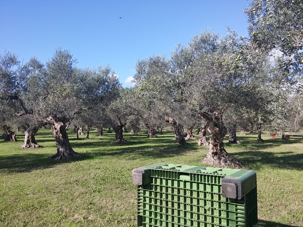 20151105_102718.jpeg