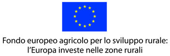 logo ue colore positivo.jpeg