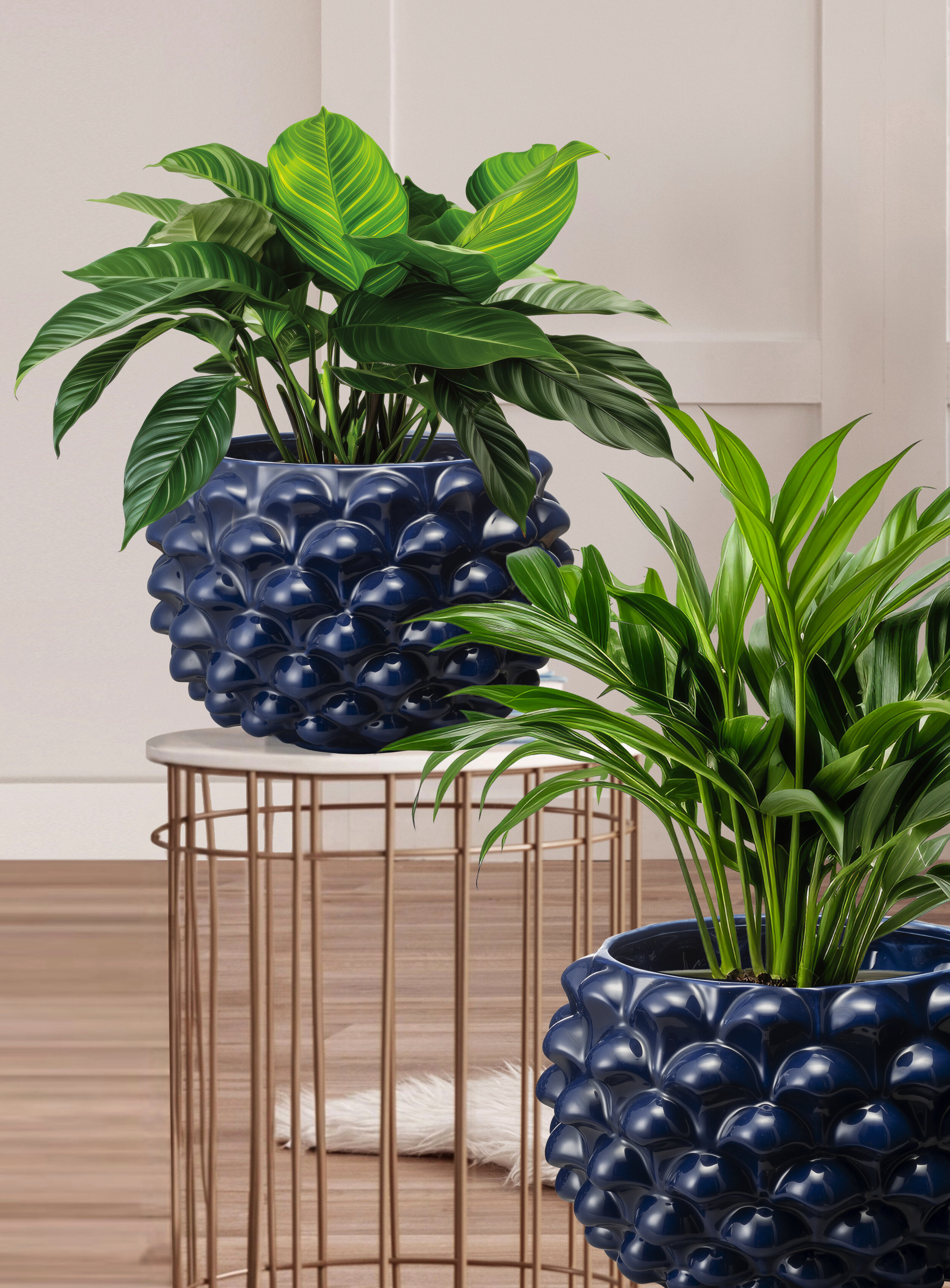 novita-2025-v04.jpeg novita-2025-v04.jpeg