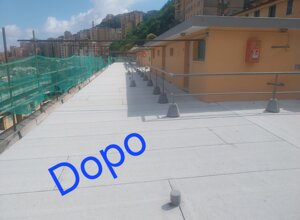 1000128514.jpeg