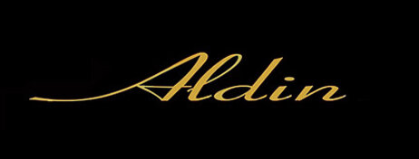 aldin logos 5.jpeg